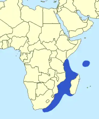 Kanadi-koningsmakreel