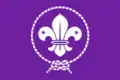 World Organization of the Scout Movement:Vlag