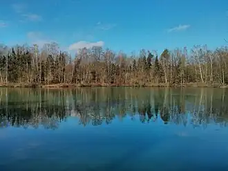 De noordoever van de plas.