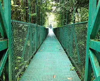 Hangbrug in Selvatura