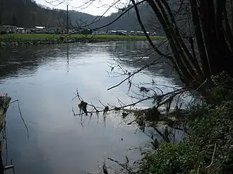 Camping in Laviot, gezien vanop de andere Semoisoever