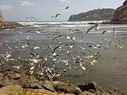 Kust bij de stad Aden