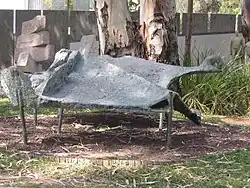 Nr. 9 :Sheep of the Negev