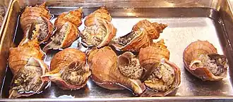 Neptunea polycostata