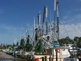 garnalenvissersboten