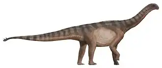 Shunosaurus