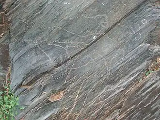 Dierengravures in Siega Verde.