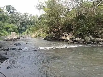 Sikasur, Belik, Pemalang in het regentschap Pemalang.