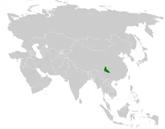 Zappeys diksnavelmees