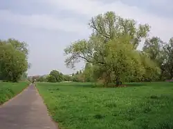 Natuurgebied bij Sinzig