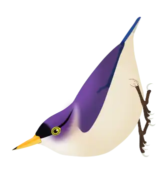 Geelsnavelboomklever