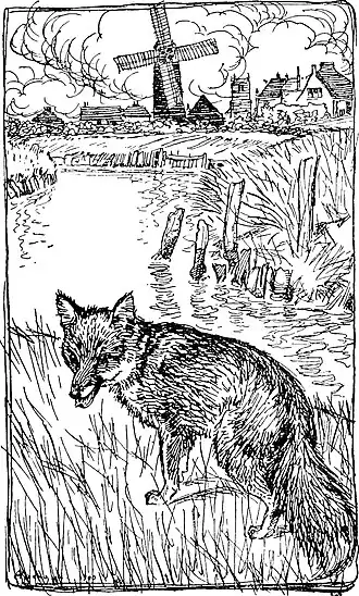 De bruiloft van vrouw Vos