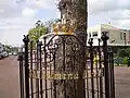 Hek rond de Wilhelminalinde