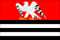 Vlag