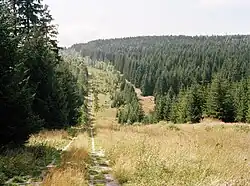 Het Grüne Band in de buurt van Sorge (Saksen-Anhalt, voormalige DDR) en Hohegeiß (Nedersaksen), in het Harzgebergte
