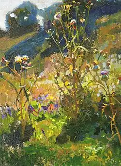 Bloemen onder de zon