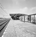 Station met eilandperron