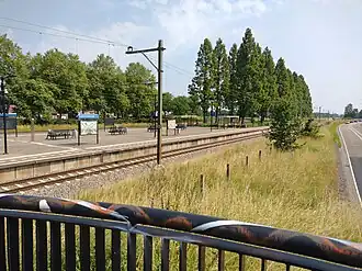 Het station gezien vanaf de loopbrug.
