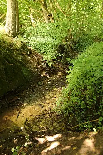 de Traveinsbeek in de Steenbergse bossen