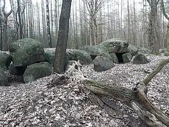 Großsteingrab Werpeloh I