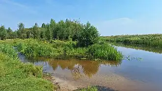 De Steenwijker Aa ten NO van het Eesermeer.