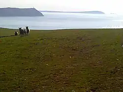Stepper Point (met Trevose Head in de verte, rechts), gezien vanaf Pentire Farm.