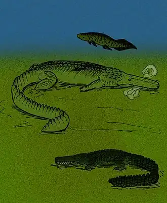 Stomatosuchus