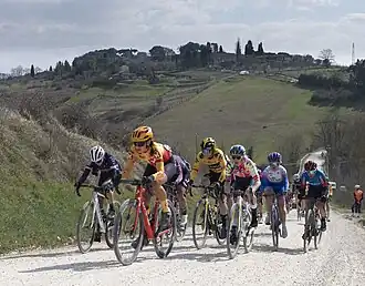 Het vrouwenpeloton op de witte wegen