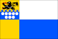 Vlag