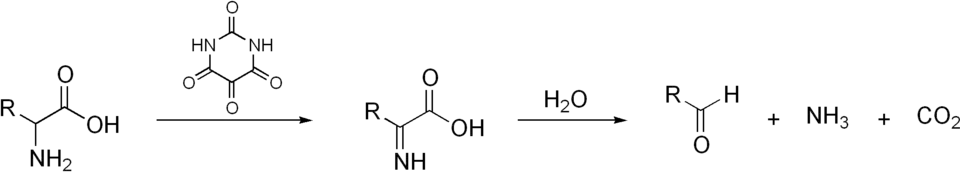 Reactieverloop van de Strecker-degradatie