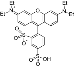 Structuurformule van sulforhodamine B (als vrije base)