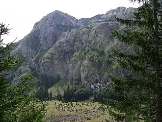 Nationaal park Sutjeska