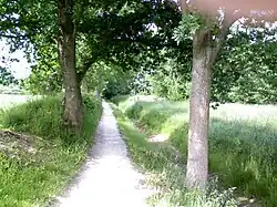 De Zwadde bij Twijzelerheide