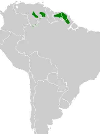 McConnells stekelstaart