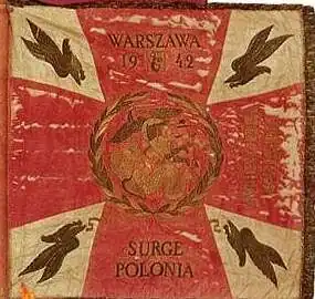 Insigne van het Poolse 1e Onafhankelijke Parachutistenbrigade