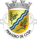 Vlag van Pinheiro de Coja