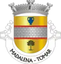 Vlag van Madalena