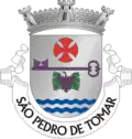 Vlag van São Pedro de Tomar
