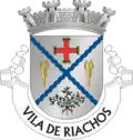Vlag van Riachos