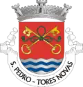 Vlag van São Pedro