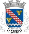 Vlag van Salzedas
