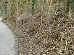 Links een fietspad; rechts daarvan een ongeveer 1,5 meter hoge langgerekte berg takken