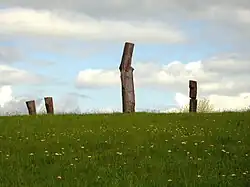 "Vielleicht ein Baum" (1976) ,Beeldenpark Im Tal