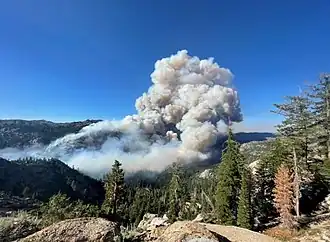 Rook van de Tamarack Fire gezien vanaf Markleeville op 17 juli 2021