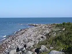 De kaap Tammiski nukk