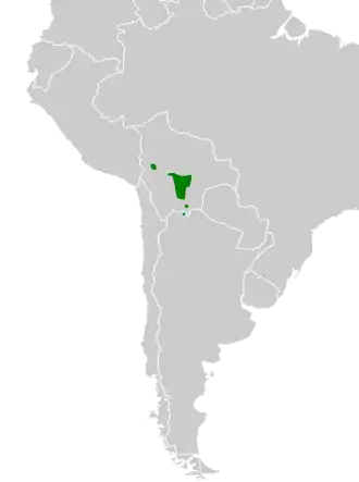 Boliviaanse aardkruiper