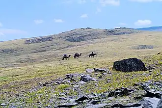 Nationaal Park Altaj Tavan Bogd