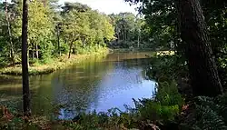 De inmiddels beboste omgeving van de tenaille ten oosten van Fort de Roovere.