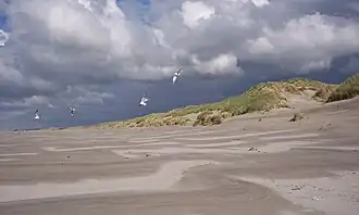 Duinen Terschelling