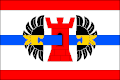 Vlag